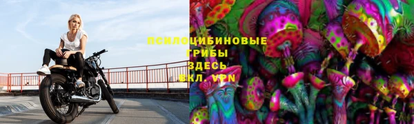 дживик Заволжье