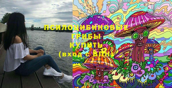 дживик Заволжье