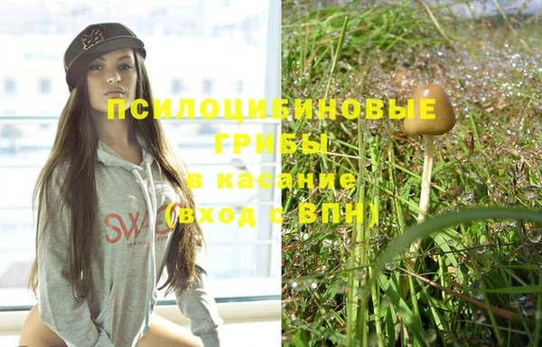 тгк Заволжск