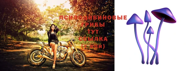дживик Заволжье